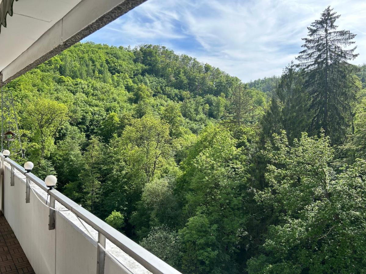 Ferienwohnung Wald-Idyll: Urlaub Im Gruenen Bad Harzburg Exterior foto