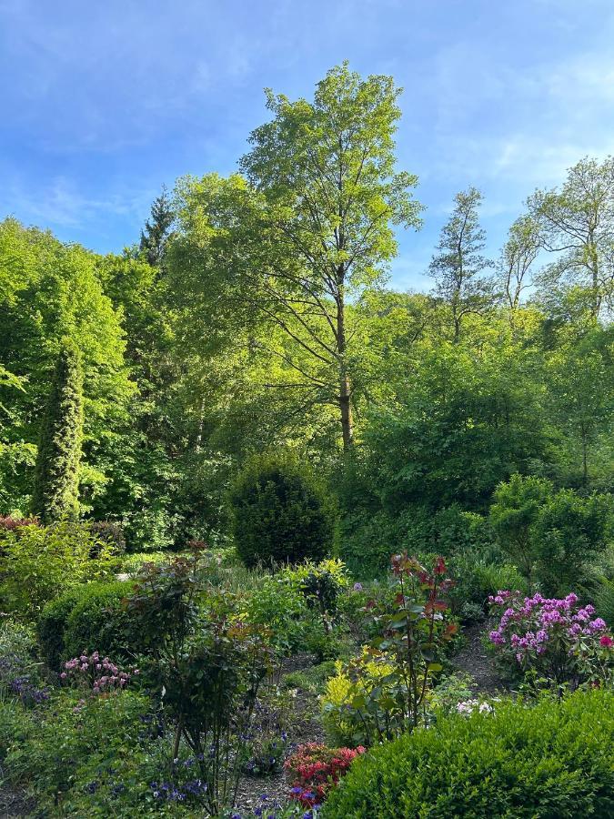 Ferienwohnung Wald-Idyll: Urlaub Im Gruenen Bad Harzburg Exterior foto